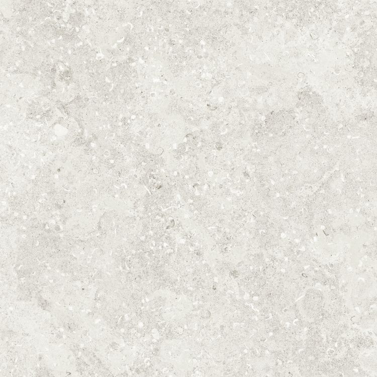 Sea Luster Bianca Matte 48 x 48